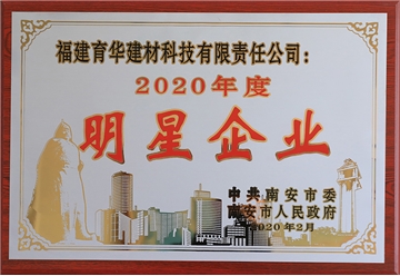 2020年度南安市明星企業(yè)